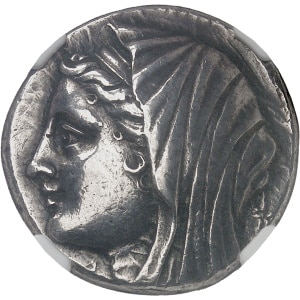 Lot 510