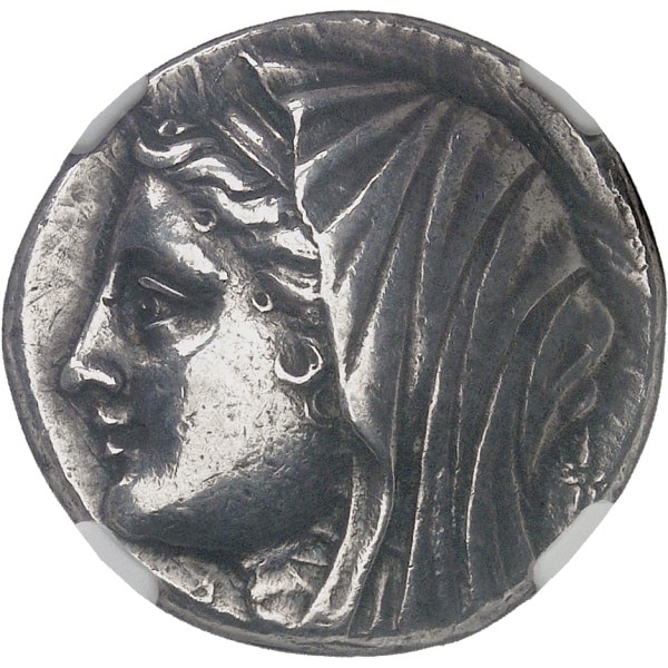 Lot 510