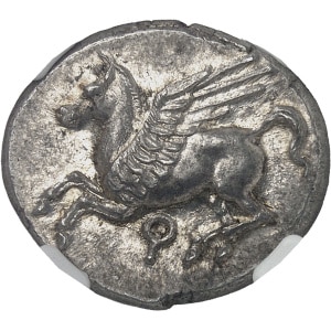 Lot 511
