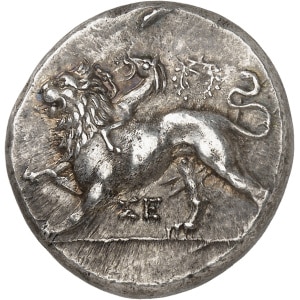 Lot 513