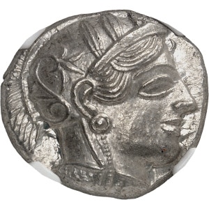 Lot 516
