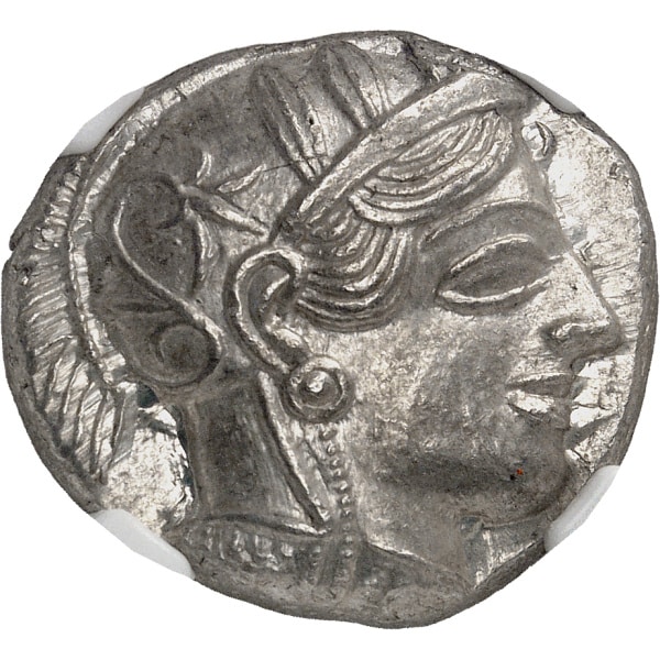 Lot 516