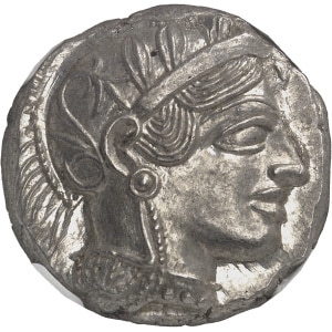 Lot 517