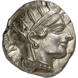 Lot 521