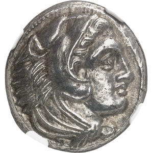 Lot 523