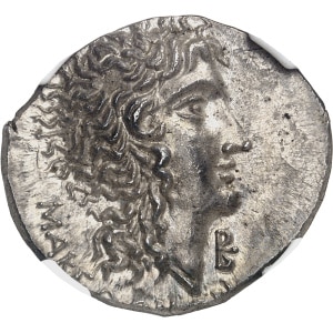 Lot 528