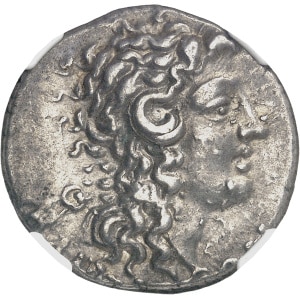 Lot 529