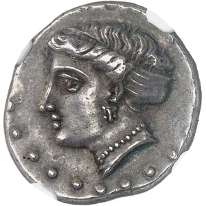 Lot 536