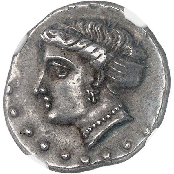 Lot 536