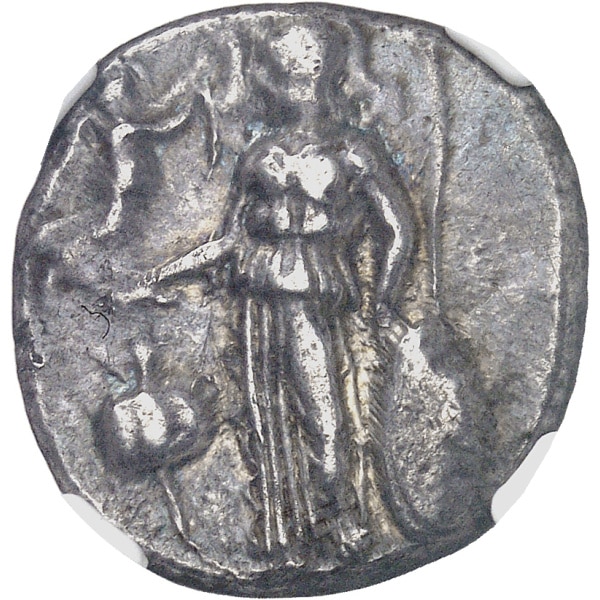Lot 551