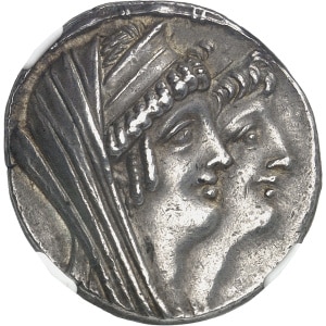 Lot 555
