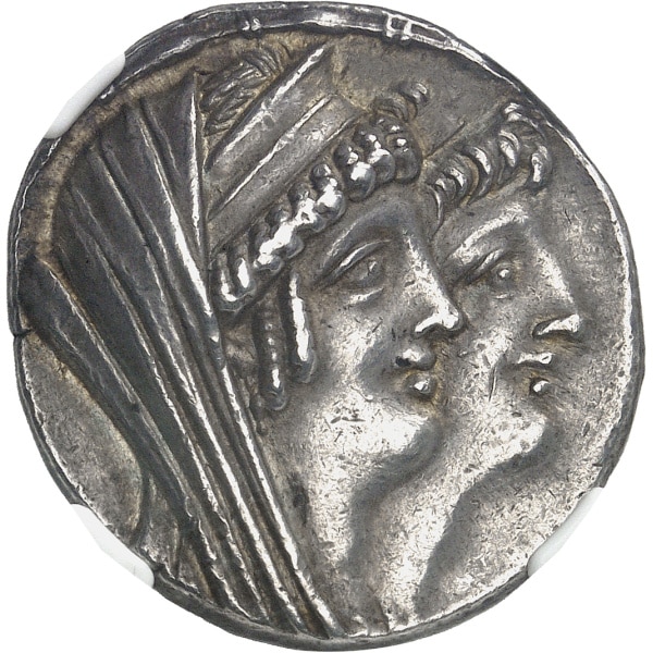 Lot 555