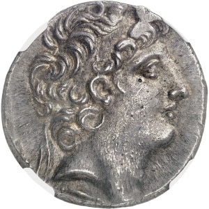 Lot 556