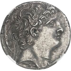 Lot 557