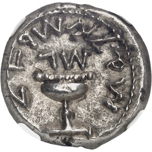 Lot 561