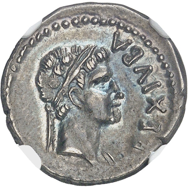 Lot 570
