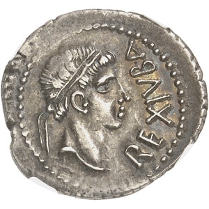 Lot 582