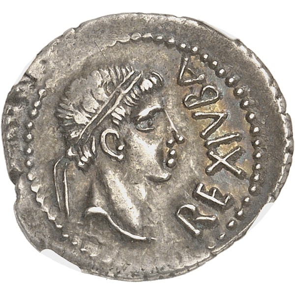 Lot 582