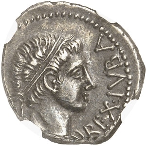 Lot 583