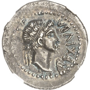 Lot 584