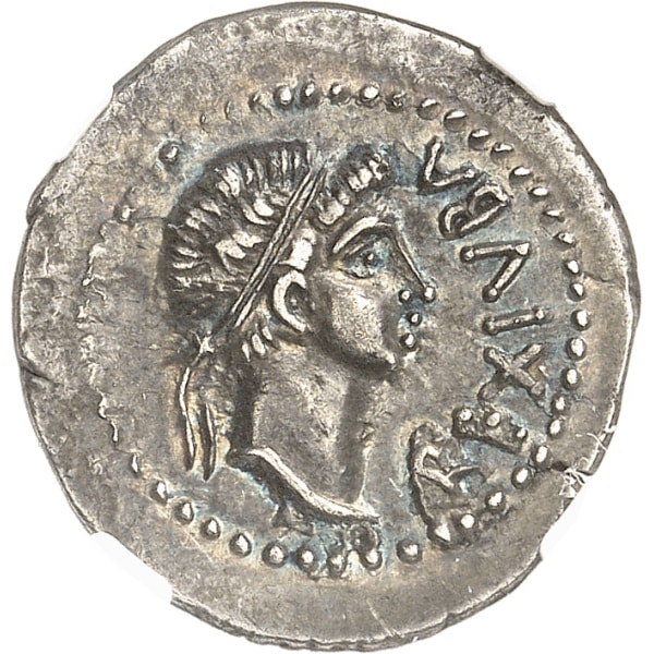 Lot 584