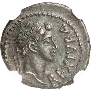 Lot 585