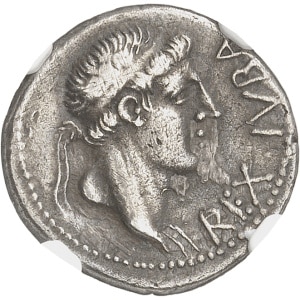 Lot 586