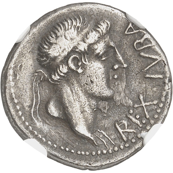 Lot 586