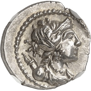 Lot 591