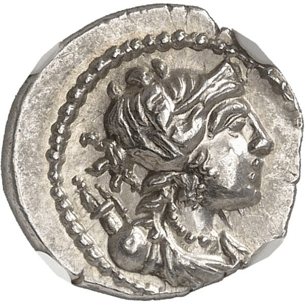 Lot 591