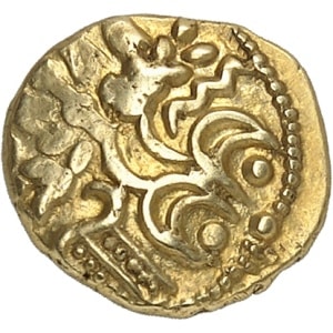 Lot 627