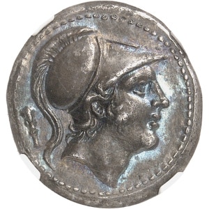 Lot 645