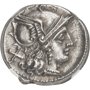 Lot 646