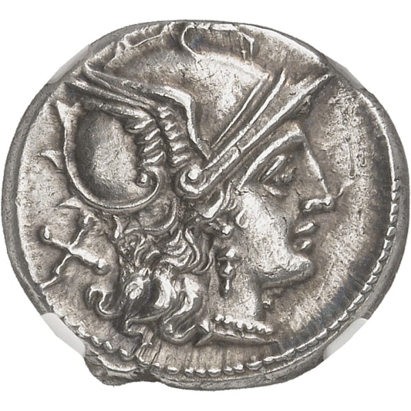 Lot 646