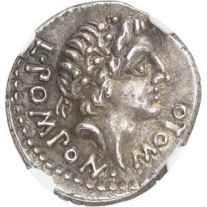 Lot 648