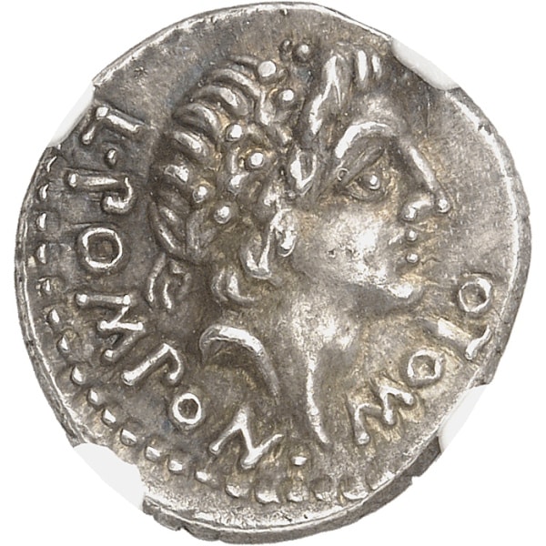 Lot 648