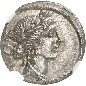 Lot 658