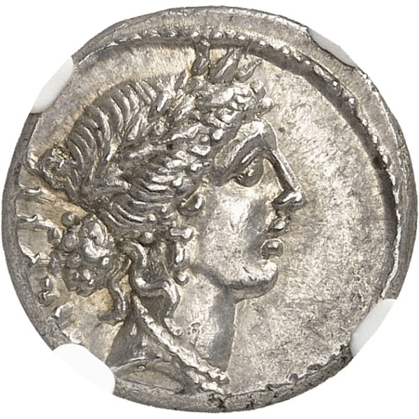 Lot 658