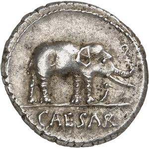 Lot 659