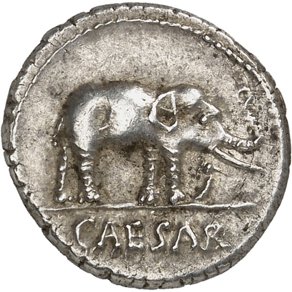 Lot 659