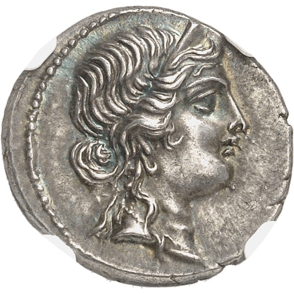 Lot 660