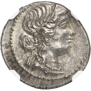 Lot 661