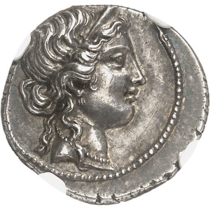 Lot 663