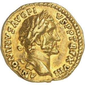 Lot 689