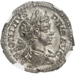 Lot 700