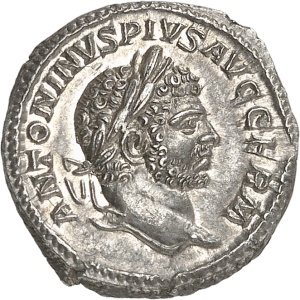 Lot 701
