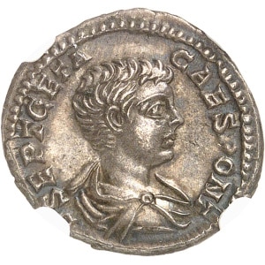 Lot 702
