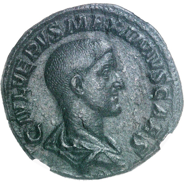 Lot 703