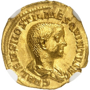 Lot 707