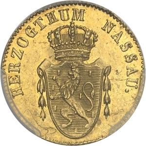 Lot 955